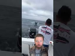 Man Catches HUGE Marlin