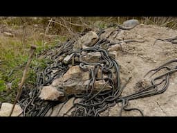 THOUSANDS of garter snakes mating. INCREDIBLE!! #nature #nationalgeographic #manitoba