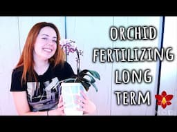 How to fertilize Orchids for long term success - All you need to know! - Orchid Care for Beginners