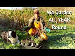 PERMACULTURE GARDENING Future Plans & NEW PROJECTS - Self Sufficient Living UK