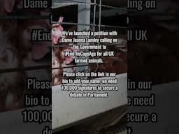 #EndTheCageAge #joannalumley #petition #animals #animal #loveanimals