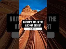 The Wave: Nature’s Art in the Arizona Desert #thewave #arizona #usa #shorts #shortvideo