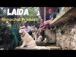 Unseen Himachal Pradesh | Best Homestay | Laida village