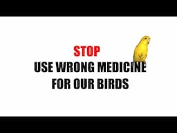 Stop , Don't Use Wrong Medicine For Your Birds ? By @santanubirdscare