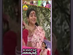 అడవిలో వల్లో ఎరుకలమ్మ #devotional #telanganadevotionalsongs #yellamma #yellammasongs  #youtubeshorts