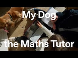 My dog, the maths tutor