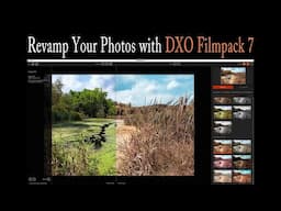 Transform Your Photos: Reimagining Images with DXO FilmPack 7