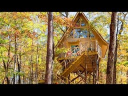 Amazing Beautiful The Tree Tiny House | Lovely Tiny House