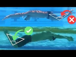 How to Have Underwaters Like Caeleb Dressel