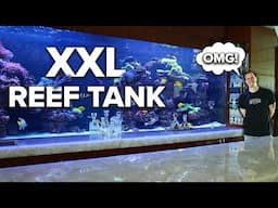 This private REEF TANK is epic!! - On my tour with Jeff Turner