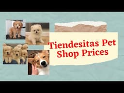 Tiendesitas Pet Village Updated Price July 27,2021 ( Pomeranian, Corgi, Poodle,Husky and more)