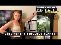 P5. Rare Plant Tour of Ugly Grow Tent | Monstera Adansonii Anthuriums | Plant Beauties Series