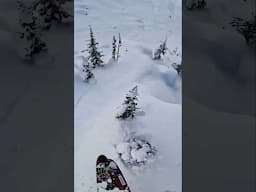 Watch out for trees 😬 #pov #skiing #shorts