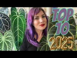 My Top 10 FAVORITE Houseplants 🪴 2025 🤩