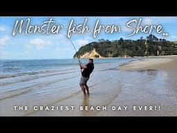 Beach fishing for Yellowtail kingfish - Craziest day Ever!