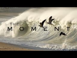 The Moment - Wind, Waves and Nazare