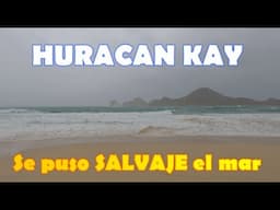 La playa se puso SALVAJE - Especial HURACAN KAY Los Cabos