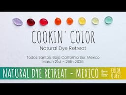 NATURAL DYE RETREAT IN MEXICO | MARCH 2025 | ORGANIC COLOR | DESTINATION WORKSHOP | TODOS SANTOS