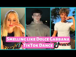 Smelling like Dolce Gabbana New Dance Challenge | TikTok Compilation