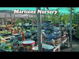 Martinez Nursery P2