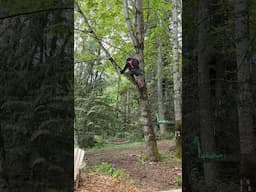 Hanging the rope swing