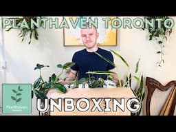 HUGE Plant Unboxing From Planthaven Toronto