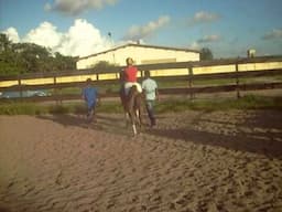 Aquecimento da Corrida no Hipodromo de Feira de Santana