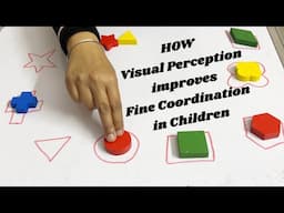 HOW Visual Perception IMPROVES Fine Motor Skills?