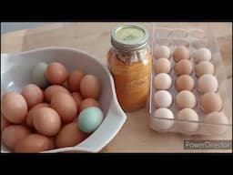 USING WINTER STORED EGGS