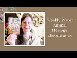 Dec 28-Jan 3, 2024: Weekly Power Animal Message And Crystal Healing Talisman. Fox Spirit Animal