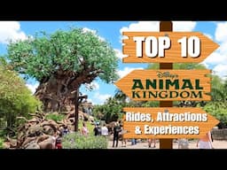 TOP 10 Animal Kingdom rides, attractions & experiences | Walt Disney World 2025