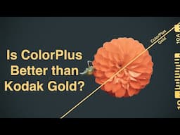 Kodak Gold Vs. ColorPlus: a Side-by-Side Comparison