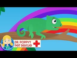 Colours Of The Rainbow 🌈 | Doctor Poppy - Animals For Kids | Cartoon Animals