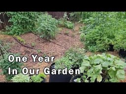 A Year of Growth: Revisiting Our Monthly Garden Adventures From Last Year