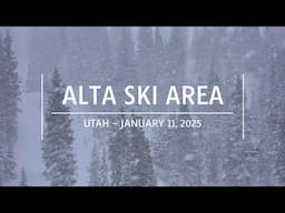 Alta Ski Area, Utah - January 11, 2025 | ski skiing snowfall snowstorm storm