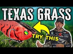 Master Grass Fishing—Seasonal Tips for Big Bass with Lee Livesay