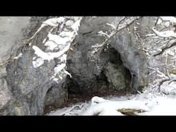 Tracking a Mountain Lion to its Den - A hidden cave