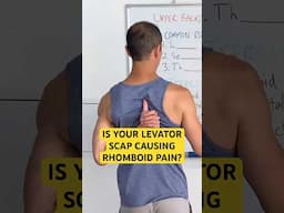 Is Your Levator Scap Causing Rhomboid Pain? #upperbackpain #posture