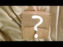 OPENING A MYSTERY BOX SENT FROM A VIEWER | WHAT'S INSIDE? | #mysterybox