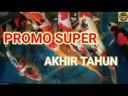 PROMO IKAN KOI SUPER AKHIR TAHUN SERBA 350K Per PAKET,,,,STRONG SETERONG BOOOOSSSS,,,,,