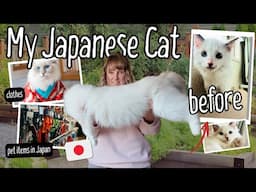 The Unexpected Story of How I Got My Cat in Japan