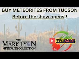 LIVE Meteorite Sale ☄️ Tucson 2025 Pre-Show!! Mark Lyon Meteorite Collection by Topherspin