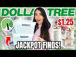 20 Dollar Tree *Hidden Gems* for 2025 (organization, decor and more)