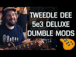 Tweedle Dee 5e3 Dumble Clone - Tweed Deluxe 5e3 With Alexander Dumble Style Mods