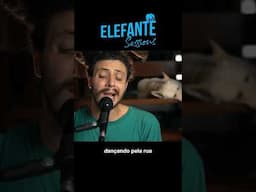 Amora - Thiago Ramil | ELEFANTE SESSIONS