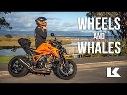 KRIEGA WHEELS & WHALES