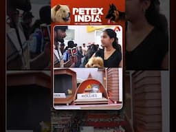 Hyderabad’s Biggest Pet Carnival at Hitex#Petex2025 #PetCarnival #HyderabadPets #HITEX #PetLovers