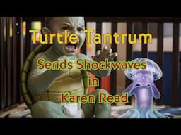 Turtle Tantrum Sends Shockwaves in Karen Read