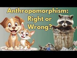 What is Anthropomorphism? A Philosophical Exploration