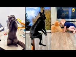 Funny ANIMALS videos 😂 Funniest CATS😺 and DOGS🐶 2024